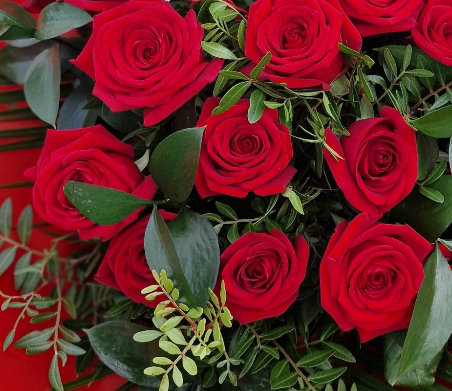 Best 12 Red Roses