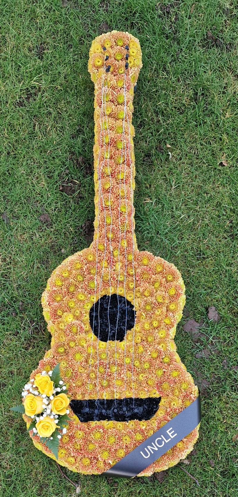Guitar