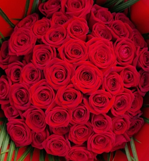 Simply Red 50 Red Roses