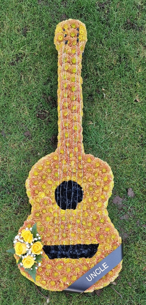 Guitar