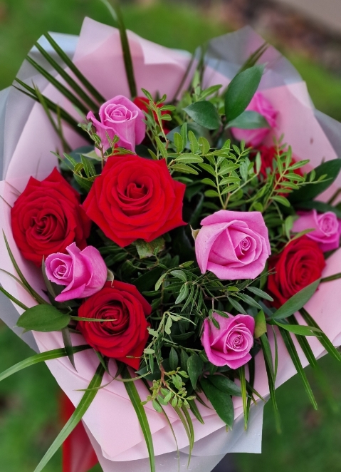 Red and pink roses